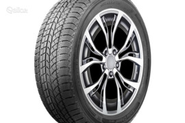 AUTOGREEN Snow Chaser AW02 275/50R20 113T XL, Žieminės padangos