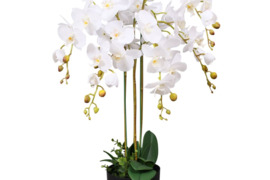 Dirbtinė orchidėja su vazonu, 75 cm, balta