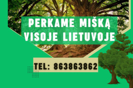 Nuo 6 a iki 1000 a sklypą, Vilnius