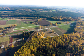 Prienų rajone, Žvyrynų k., parduodami 2 žemės ūkio paskirties sklypai, bendras plotas 6,43 ha.