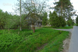 Pasvalio r. sav., Krikliniai