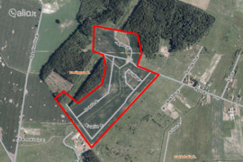 3200 a sklypas Klaipėdos r. sav., Saulažoliai