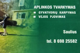 Apleistu sklypu tvarkymas
