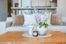 SAVININKAS NUOMOJU 2 KAM.BUTA PAŠILAIČEI  S.NĖRES G.