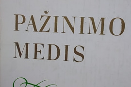 Pažinimo medis