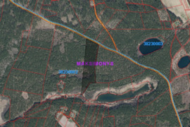 700 a sklypas Varėnos r. sav., Rudnia (Merkinės sen.)