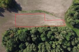 Namų valdos sklypas Pasvalio r. sav., Šimonėlių k.