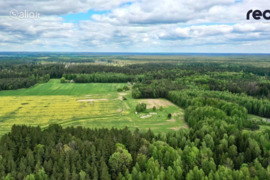 27.0 a sklypas Kaišiadorių r. sav., Kaugonys