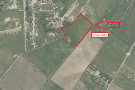 293.39 a sklypas Klaipėdos r. sav., Martinai