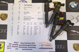 Kuro purkštukai Citroen-Xsara. 0445110135