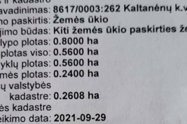 800 a sklypas Švenčionių r. sav., Buivydai