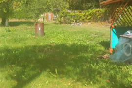 Sodo namas Alytaus r. sav., Nemunaitis, Karklų g.