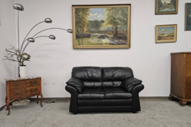 Natūralios odos sofa