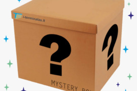 Paslaptinga dėžė (Mystery box)