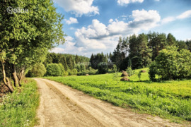 84.00 a sklypas Trakų r. sav., Daniliškės