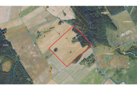 Sodyba Radviliškio r. sav., Paežeriai (Šaukoto sen.)