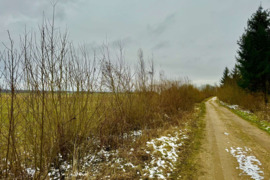 2442.62 a sklypas Prienų r. sav., Sprindiškės