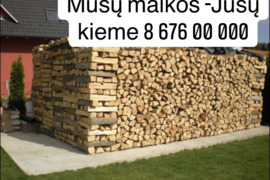 Malkos Malkos Malkos Malkos Malkos