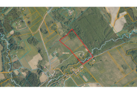 Sodyba vienkiemyje Šilalės raj su 8,14 Ha sklypu