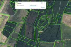 34 ha 38,3 balo, Linaičių k. prie Vabalininko, Biržų r.