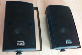 P Audio 100F kolonėlės, jokių priedų nėra.