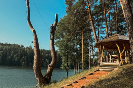 Medžių pjovimas, gyvatvorių karpymas