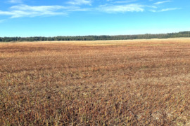 Perkame žemės sklypus visoje Lietuvoje ir su problemomis