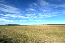 Perkame žemės sklypus visoje Lietuvoje
