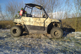  bagis POLARIS RZR 170 EFI 2017 metu.