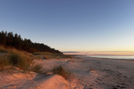 20 a sklypas Palanga, Palanga, Žibų g.