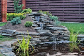 Dekoratyvinių tvenkinių, krioklių, fontanų įrengimas ir renovacija