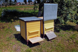 Perku bičių šeima su aviliu, medsukį ir kit. reikmenis . Tel. Nr. ***