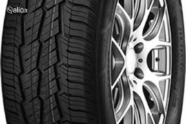 Gripmax Suregrip AS VAN 225/55R17 109/107H C, Universalios padangos