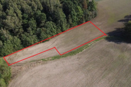 Parduodamas namų valdos sklypas Pasvalio r. sav., Pasvalio apylinkių sen., Šimonėlių k. 1B