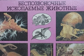 Gyvūnų pasaulis, bestuburiai fosiliniai gyvūnai