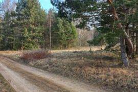 Žemės sklypas 2,45 ha Guobų k.Kazlų Rūdos sav.