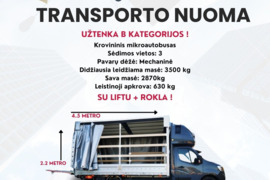 NUOMA  RENAULT MASTER Tentinis + Liftas + rokla Krovininis mikroautobusas Vairuotojo pažymėjimas: B 
