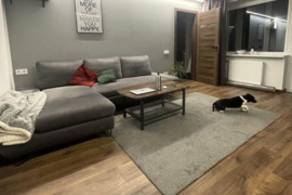 Klaipėdoje, Mokyklos gatvėje, šalia Trinyčių ežero, parduodamas 44 m² ploto, 2 kambarių butas su bal