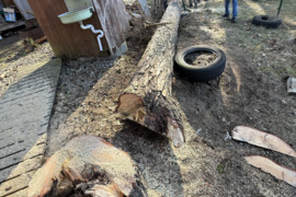 Medzio pjovimas,Visi kasimo ir griovimo darbai.Betono pjaustymas.