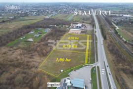 50 a sklypas Šiaulių r. sav., Vijoliai