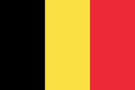 Sekmadienį iš Belgijos - Krovinių Pervežimas. 