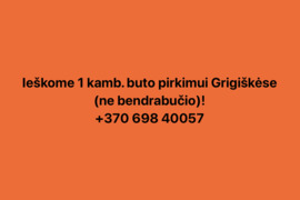 Ieškome vieno kambario buto Grigiškėse