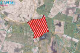 11500.0 a sklypas Trakų r. sav., Nupronys