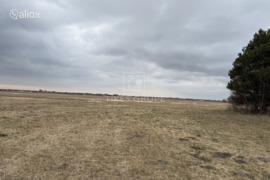 290 a sklypas Klaipėdos r. sav., Klemiškė II