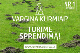 Kurmių naikinimas Jūsų sklype, visoje Lietuvoje Nr. 1