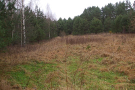 Parduodamas  203,81 a žemės sklypas, Vilniaus raj. savivaldybėje, Ažunerės kaime