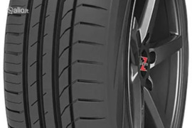 Goodride (WESTLAKE) Z107 195/55R20 95H XL, Vasarinės padangos