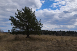 10.01 a sklypas Vilniaus r. sav., Aukštieji Rusokai, Slėnio g.