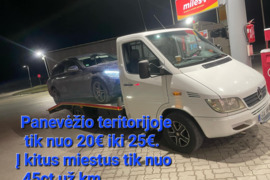 Traliuko paslaugos