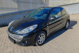 Peugeot 206+ 2009 m. 1.1 l 44 kW DALIMIS